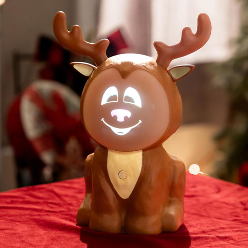 Rainy The Talking Raindeer